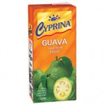 Cyprina_guava