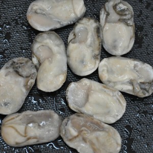 oystermeat