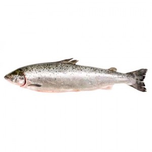 whole-salmon